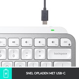 Logitech MX Keys Mini Minimalist Wireless Illuminated Keyboard, toetsenbord Lichtgrijs, FR lay-out, Bluetooth